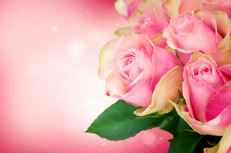 Pink roses - flower, rose, with love, beautiful, bouquet, harmony, elegantly, photography, nature, delicate, pink, for you, pretty, soft, beauty, flowers, sweet, still life, love, romance, roses, lovely, colors, romantic