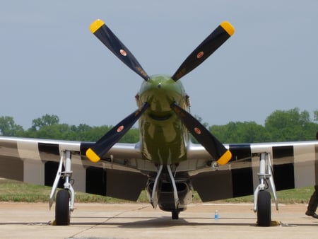 P51 Mustang - airplane, p51, mustang, wwii