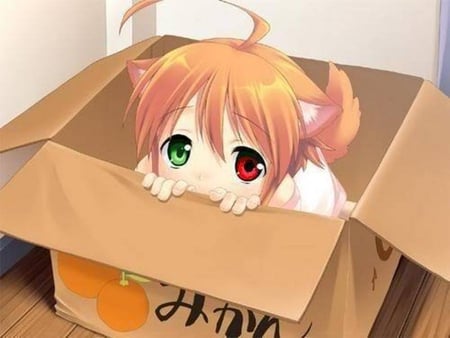 Will you take me home? - neko, cute, green eye, red eye