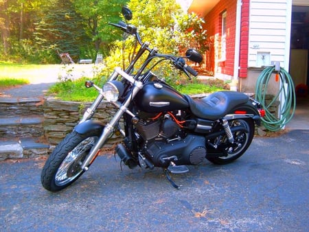 2006 Dyna Street Bob - bob, 2006, street, dyna