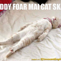 CAT SCAN