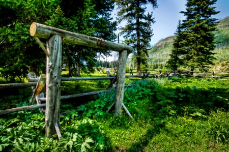 Country landscape - trees, summer, relaxing, image, beautiful, landscape, grass, fench, nature, picture, green, background