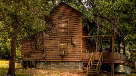 The Cabin - architecture, forests, houses, beautiful, woods, trees, nature, cabin