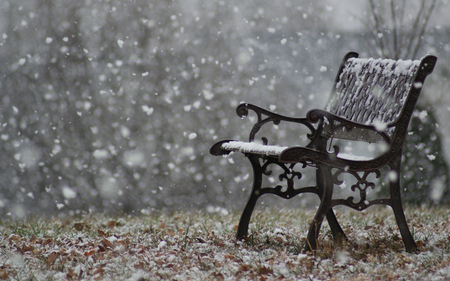 Snowy Bench - winter, nature, beautiful, photography, snowy, snow, bench