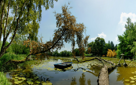 Beautiful Lake - sky, trees, water, nature, lakes, lotus, water lily, beautiful, clouds, green, boat