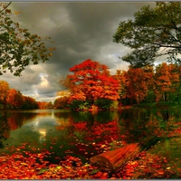 AUTUMN POND