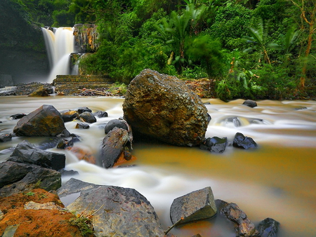 Wterfall and forest creek - fall, forest, water, water stream, stones, waterfall, creek