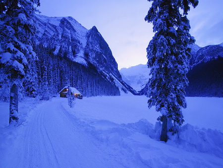 Blue winter day - house, covered, trees, winter, cabin, snow, mountain, path, nature, day, sky