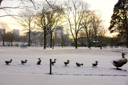 snow on ducks of stone in a park - mother and chicks, winter, statues, park