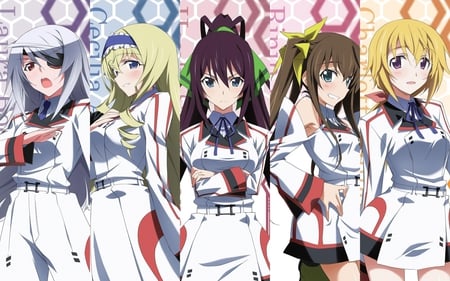 Infinite Stratos - infinite stratos, houki, laura, is, ling yin, cecilia, charlotte