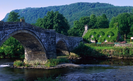 Hump Back Bridge - house, pretty, river, stone, beautiful, wall, bridge