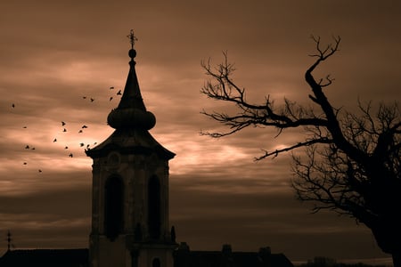 steeple - tree, dusk, steeple, birds