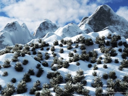 Winter Mountains - white, sky, winter, mountains, grass