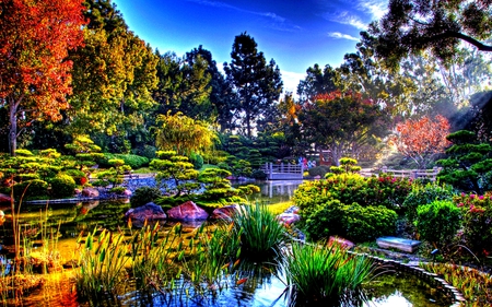 JAPANESE GARDEN - sunlight, pond, colourful, japan, nature, garden, hdr, plants, bridge, japanese