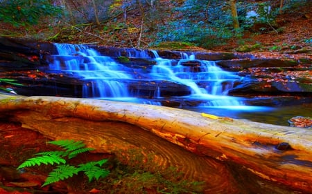 CREEK CASCADE - falls, log, cascade, fern, creek