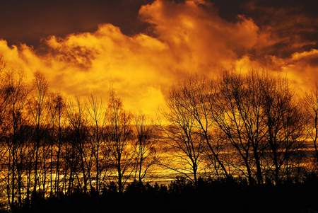 December sunset - sky, autumn, lake, trees, clouds, color