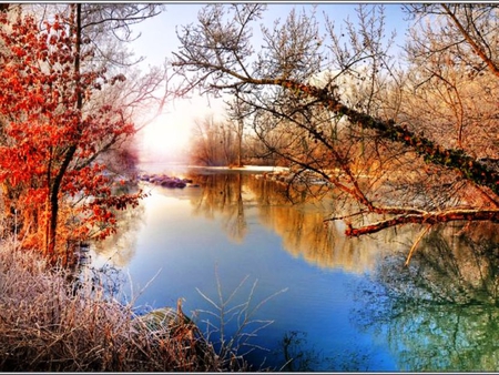 Frosty morning - trees, water, frosty, morning, river, nature, autumn, water mirror, sky