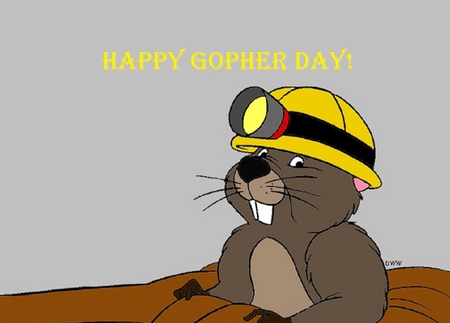 Happy Gopher Day - cartoons, groundhog day, pooh, gopher