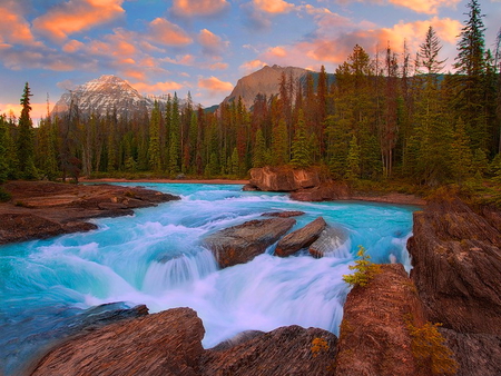 Water stream - sky, autumn, trees, water, rocks, nature, river, clouds, water stream, stones