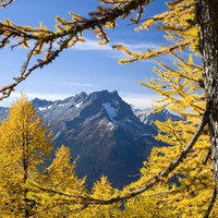 Glacier Peak