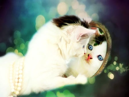 Beautiful lady in the mirror - pearls, lady, cat, fluffy, kitty, white, blue eyed, reflection, mirror, sweet