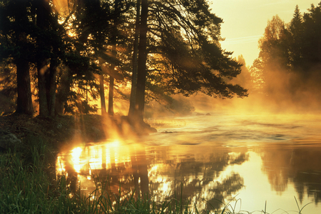 Reflections - dust, lake, trees, nature