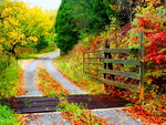 Autumn road