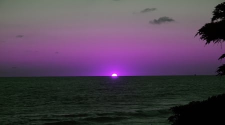 SUNSET PURPLE - nature, purple, ocean, sunset