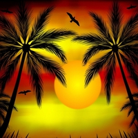 SUNSET VECTOR