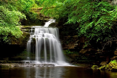 Cauldron Force, West Burton - rock, water, tree, falls