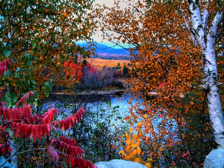 Autumn colors - autumn, lake, valley, mountain, trees, paradise, water, spring, nature, lakes, fall, river, colors, flowers, pond