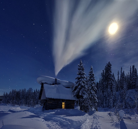 winter nightscape - chimney, moon, house, trees, winter, snow, landscape, nature, smoke