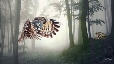 Night Creatures - trees, light, night, mystical, bird, wolf, woods, forest, evening, owl