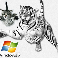 window 7 logo