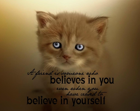 Believe - believe, kitten, baby, blue eyes