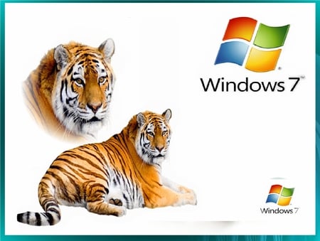 window 7 - logo