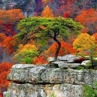 Cliff at Fall