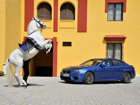 2012 BMW M5 - m5, sedan, bmw, car