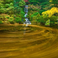 Japan nature