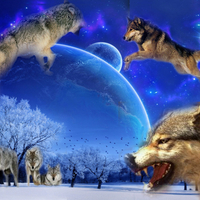 Wolf Fantasy