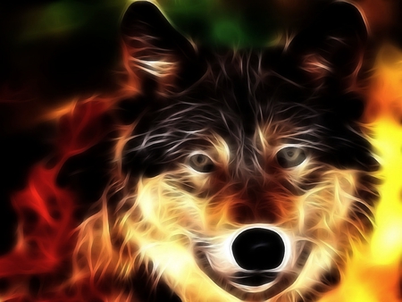 Wolf - wolf, picture, cool, beautiful