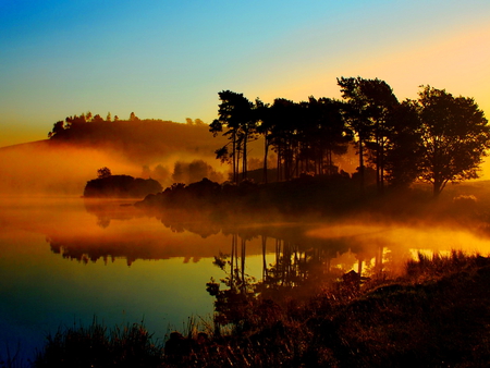 Morning mist - morning, sky, lake, sunshine, trees, sunlight, water, mist, reflection, sunrise