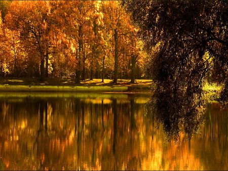 Silent pond - silent, lake, fall, pond, reflection, trees, peaceful, autumn