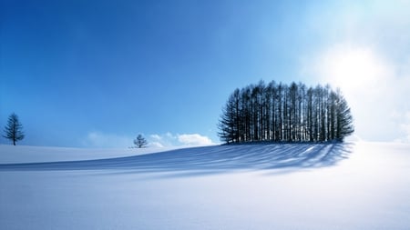 Winter Scene - star, calm, multicolor, scene, scenario, sunrays, widescreen, landscapes, seasons, woods, sunshine, colors, natural, colours, winterscapes, frozen, gray, computer, shadows, blue, amazing, roots, forests, view, sky, sun, winter, photoshop, cool, colorful, black, lightness, bright, cold, sunny, scenery, wood, snow, brilliant, light, nice, paysage, beauty, white, picture, paisage, nature, brightness, clear, high definition, background, wallpaper, quiet, tranquil, photo, desktop, grove, hd, branches, trees, image, beautiful, photography, pc, icy, paisagem, cenario, awesome, cena, panorama, multi-coloured, day