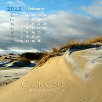 Dreaming dunes of Curonia