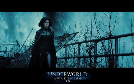 Underworld Awaken - entertainment, underworld, selene, movies