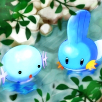 Wooper and Mudkip