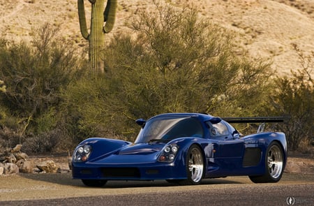 2007 Ultima GTR - sports, ultima, 2007, 07, desert, car, gtr, supercar