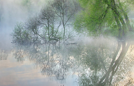 Morning Nuances.. - green, mist, lake, spring, morning, early, reflection, tree