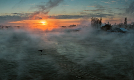 A New Day Begins... - bird, circles, water, morning, river, mist, golden, houses, sun, sky